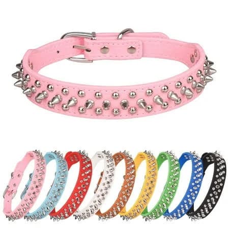 Spike Dog Collar