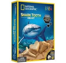 National Geographic Shark Tooth Dig Kit STEM Activity