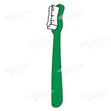 Green Toothbrush with White Bristles