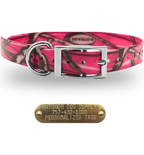 Outdoor Dog Supply Premium Glow Tuff D Ring Dog Collar