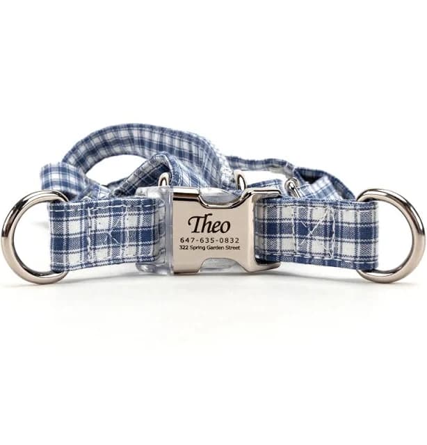Angie and Allie Personalized Gingham Step-In Dog Harness