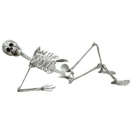 Diceymbol Life-Size Halloween Skeleton Anatomical Model