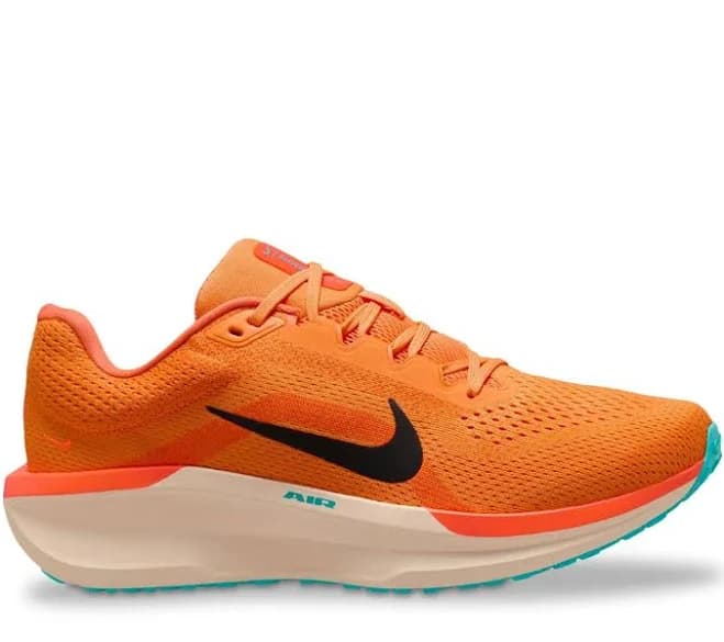 Nike Men's Winflo 11 Running Shoes