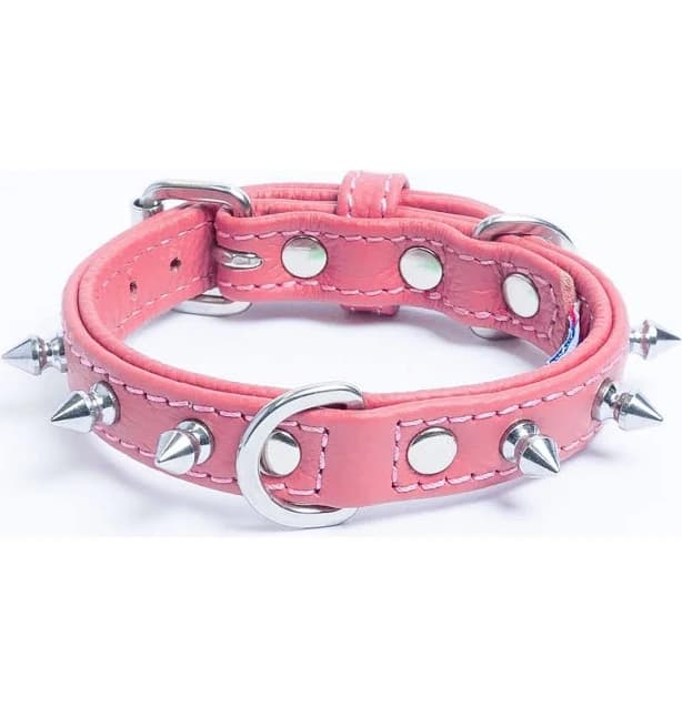 Angel Pet Supplies Spiked Dog Collar