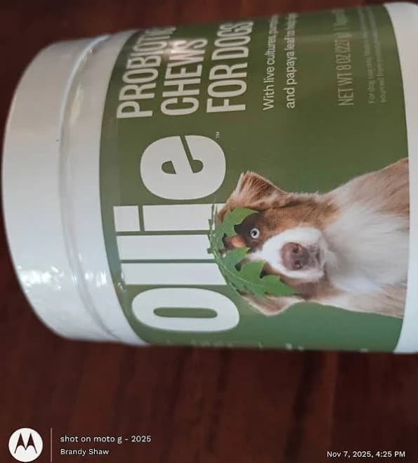 Ollie Dog Probiotic Supplements With Ollie Travel Food Container