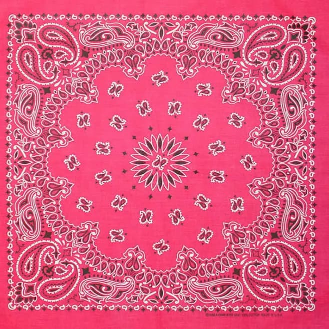 Paisley Bandana Made in the USA