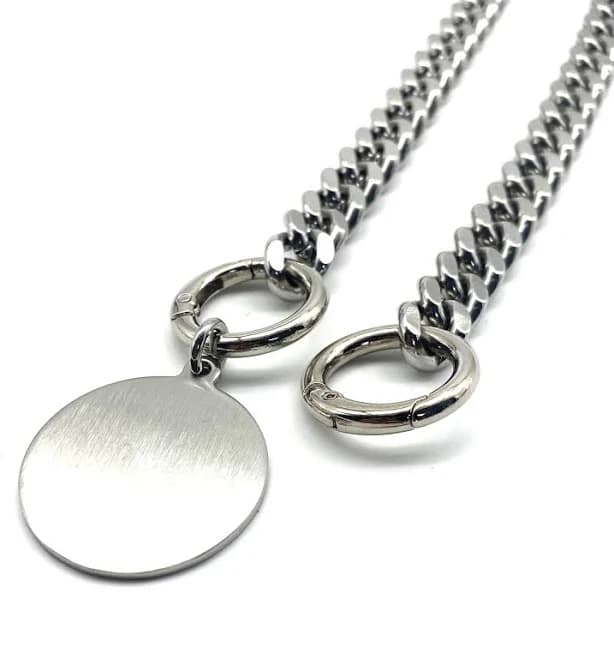 Personalized Name Tag Dog Collar Chain Spring Ring Closure Pets Choke Collar