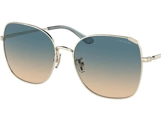 Coach Women HC7133 Sunglasses
