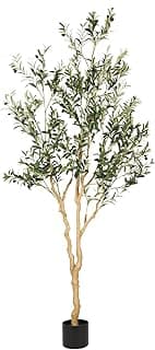 Realead Faux Olive Tree 7ft - Realistic Tall Silk Olive Trees Artificial Indoor Decor - Large Potted Fake Olive Tree with Branches and Fruits - Artificial Olive Trees for Home Office Decor Indoor: Buy Online at Best Price in UAE - Amazon.ae