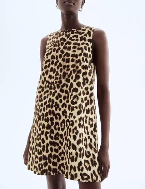 H&M Ladies Shift Dress