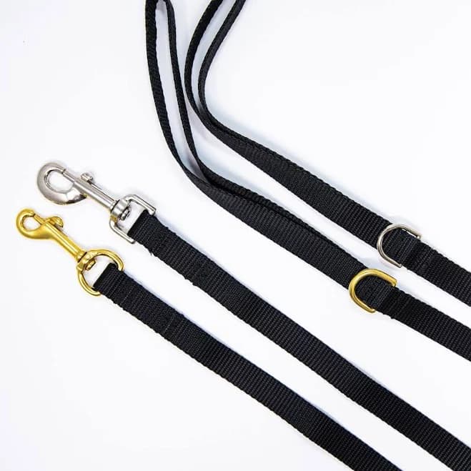 Webbing Dog Leash