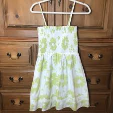 American Eagle Outfitters | Dresses | American Eagle Green And White Dress | Poshmark