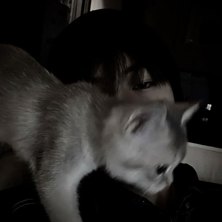 🐾