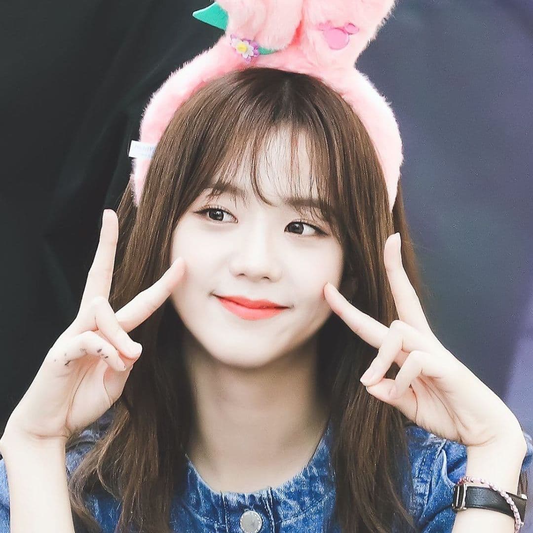 Kpop fan