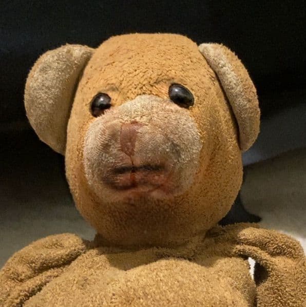 Oddbear